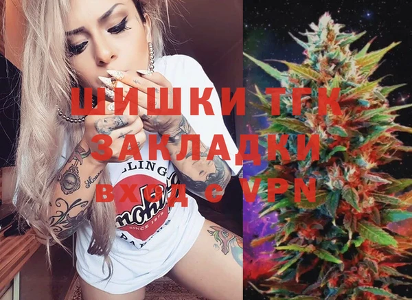 твердый Алексин